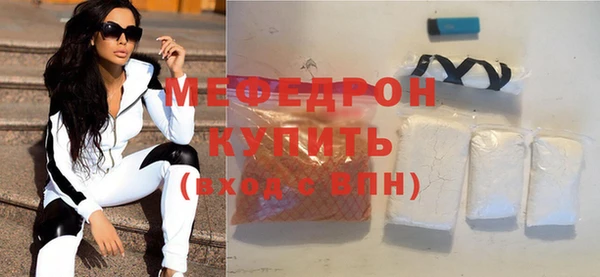 индика Краснослободск