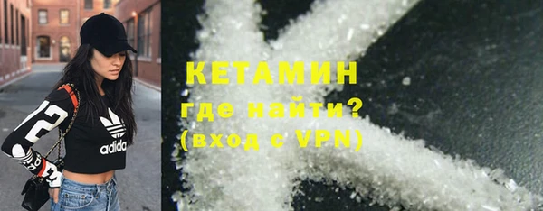 индика Краснослободск