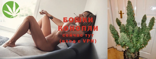 индика Краснослободск