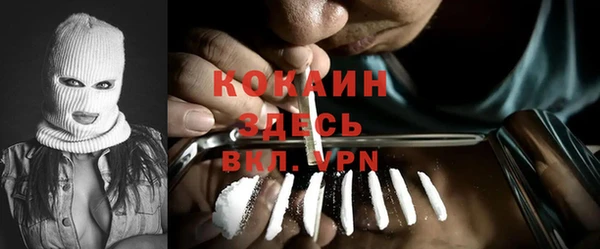 индика Краснослободск