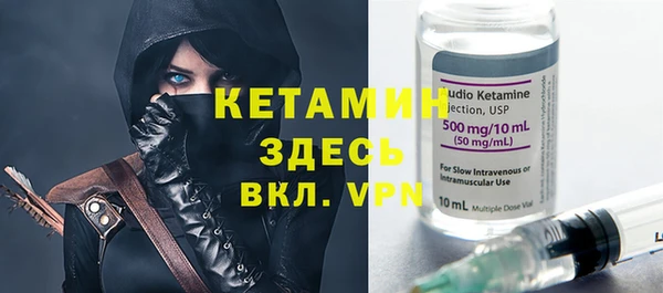 индика Краснослободск