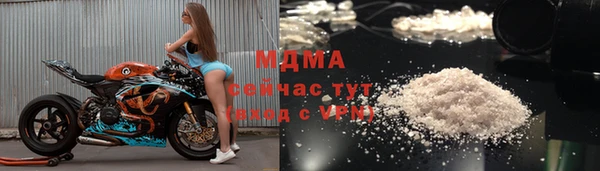 индика Краснослободск