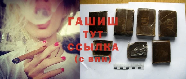 индика Краснослободск