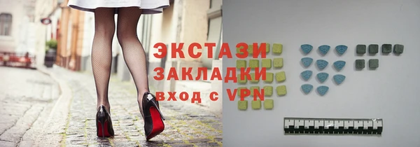 индика Краснослободск