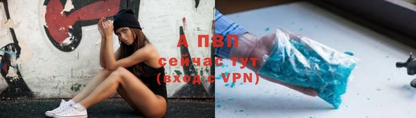 индика Краснослободск