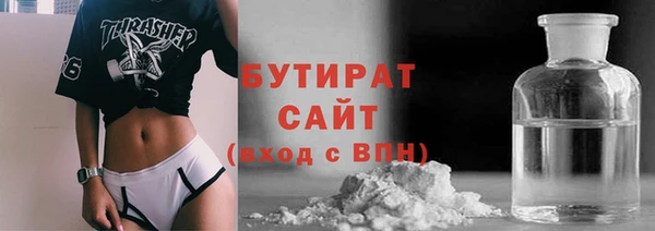 индика Краснослободск