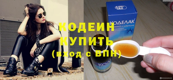 индика Краснослободск