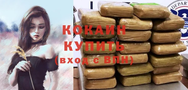 индика Краснослободск