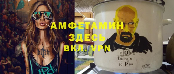индика Краснослободск