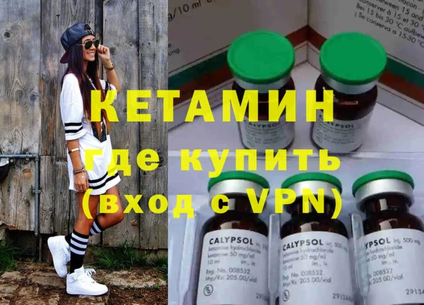 индика Краснослободск