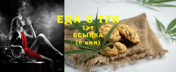 индика Краснослободск