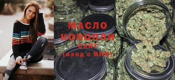 индика Краснослободск
