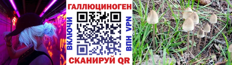 где купить наркотик  Пушкино  Псилоцибиновые грибы Magic Shrooms 